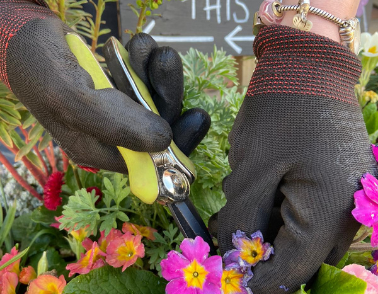 National Gardening Week: New skills learnt for service users at Workbridge