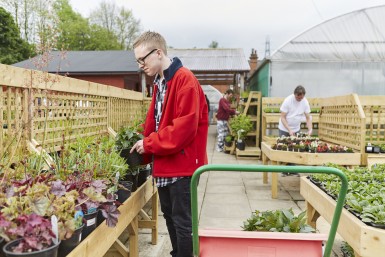 Workbridge garden centre outside v3